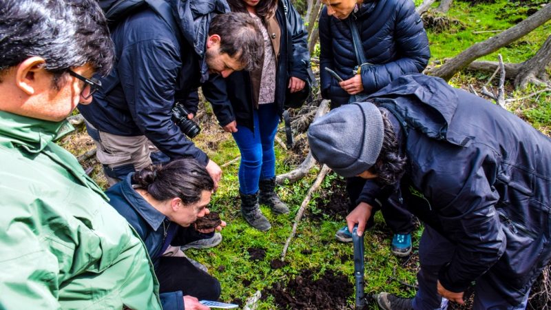 SEREMI de Medio Ambiente en visita a Puerto Williams | Avanza priorización de humedales urbanos en Cabo de Hornos