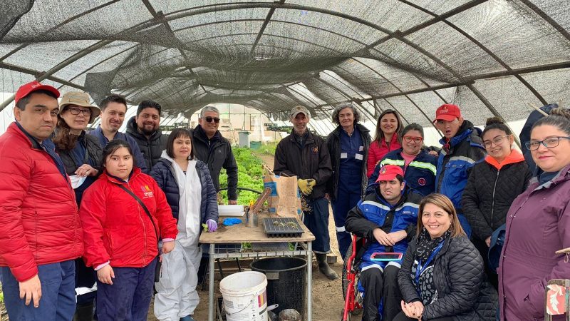 Unpade finaliza programa de Senadis que entregó habilidades en jóvenes y adultos con discapacidad en Punta Arenas