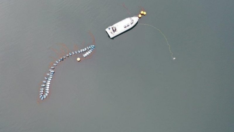 Robot Submarino apoyará fiscalización y gestión ambiental de SERNAPESCA en Magallanes