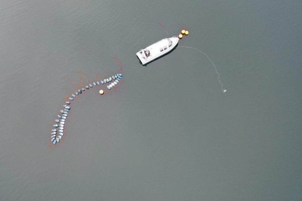 Robot Submarino apoyará fiscalización y gestión ambiental de SERNAPESCA en Magallanes