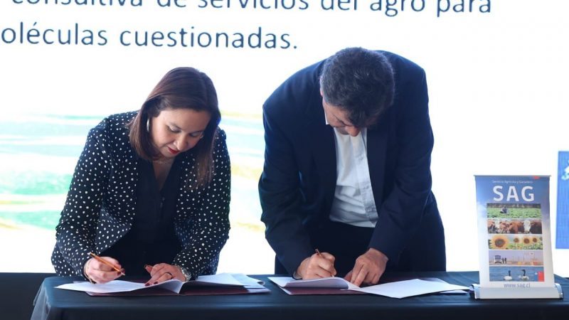 Ministerio de Agricultura anuncia prohibició​n de uso de cuatro moléculas y presenta nuevo plan de trabajo para mejorar la regulación de agroquímicos en Chile 