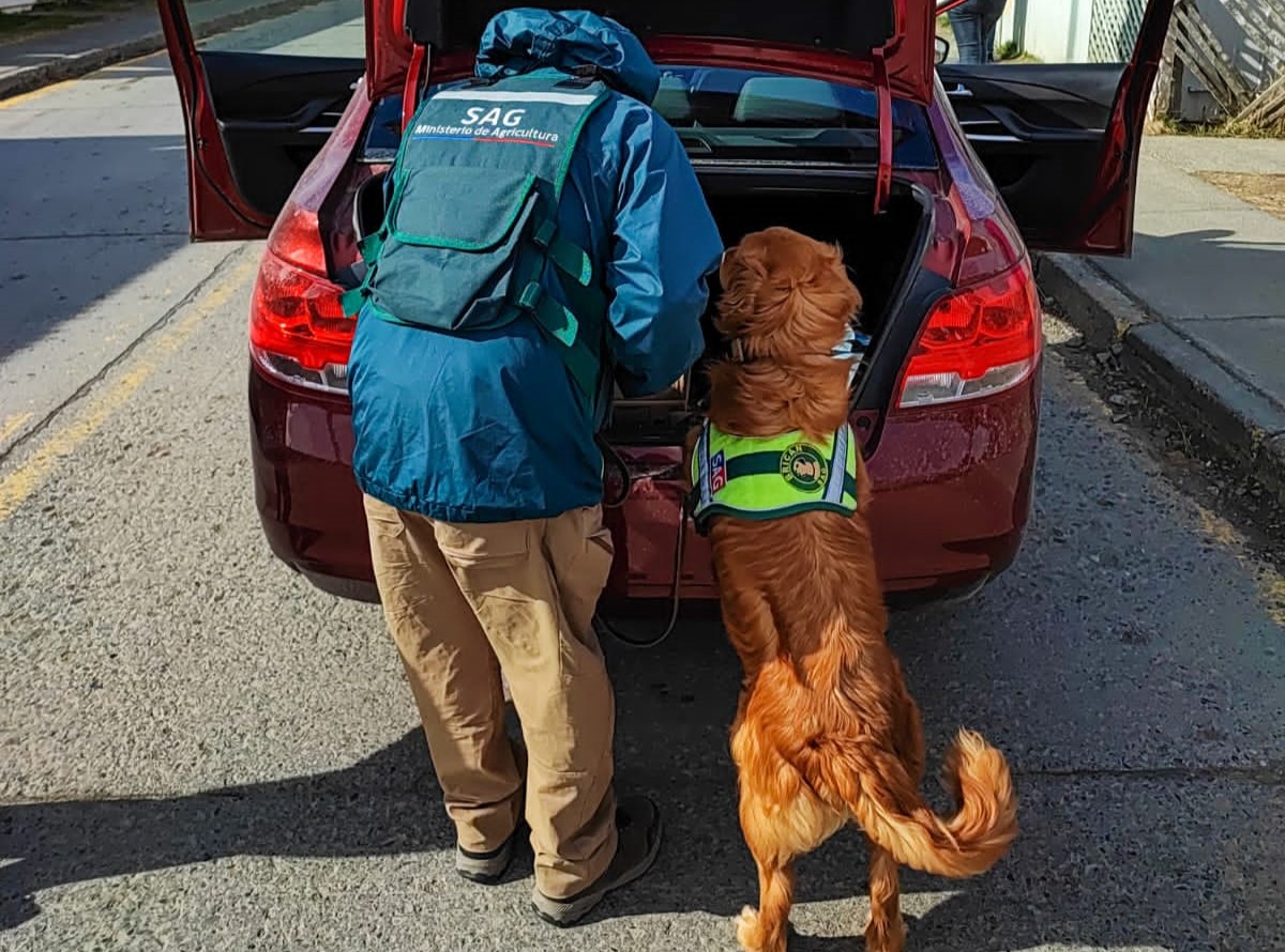 SAG Última Esperanza entrega recomendaciones para agilizar inspección fronteriza