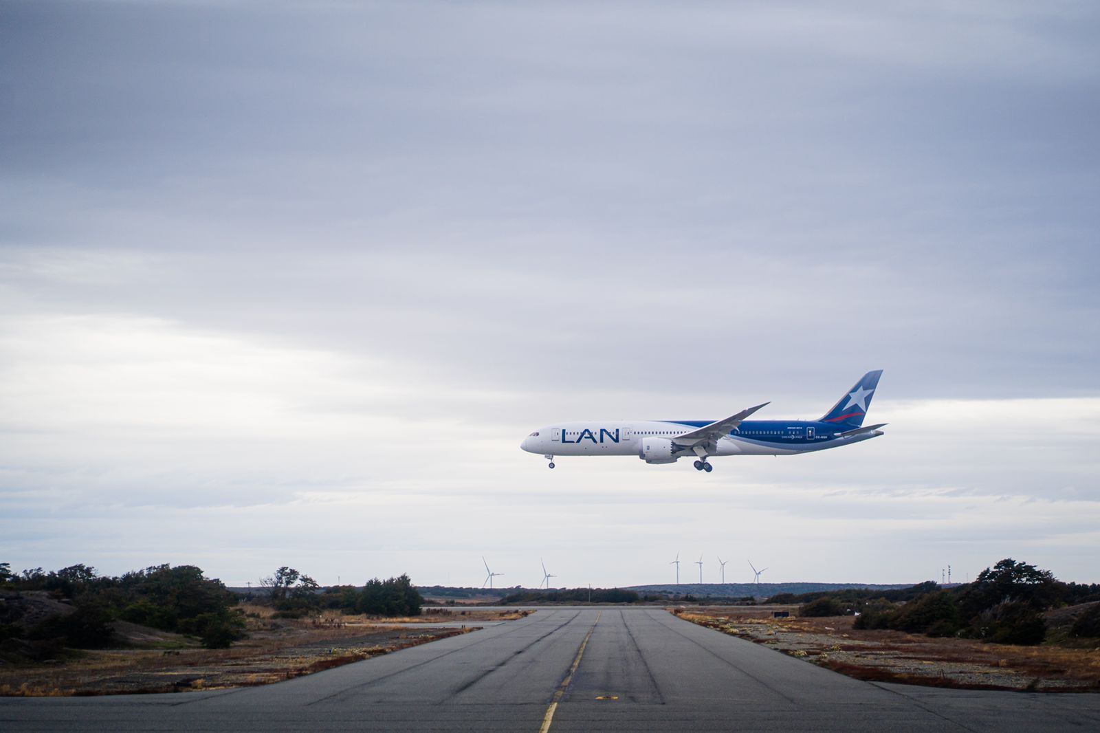 Diputada Javiera Morales y 8 Consejeros Regionales interponen denuncia en la Fiscalía Económica por altos precios en pasajes aéreos en Magallanes