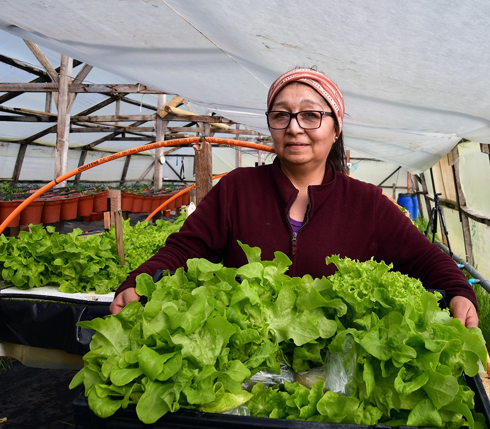 Seremi de Agricultura: FIA abre nueva versión de la Convocatoria para Proyectos de Innovación
