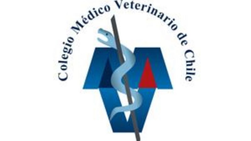 Colegio Médico Veterinario de Magallanes alerta por estafa a clínicas veterinarias