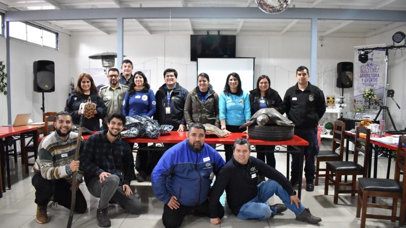Pescadores artesanales e industriales de las flotas pesqueras de Chile aprendieron sobre técnicas de manipulación, reanimación y liberación de tortugas marinas