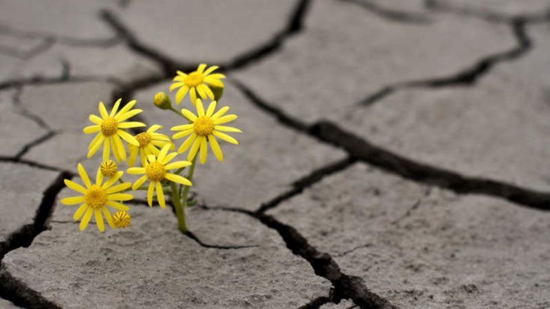 8 lecciones que la gente aprende demasiado tarde en la vida | Juan Salvador Miranda | Opinión