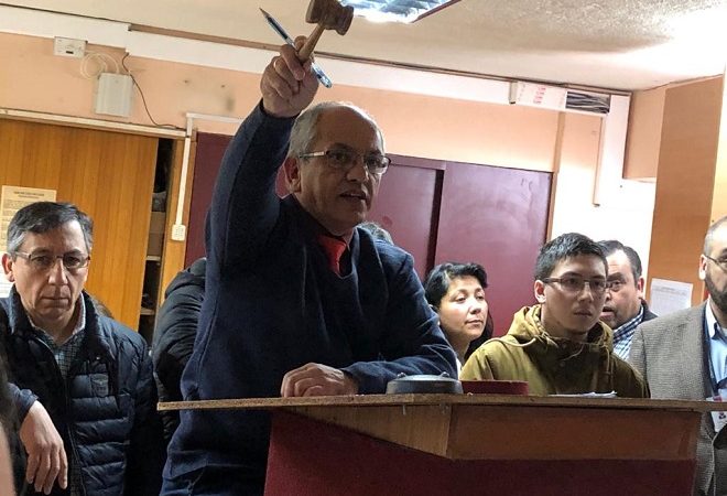 Tía Rica realizará nuevo remate online este jueves en Punta Arenas