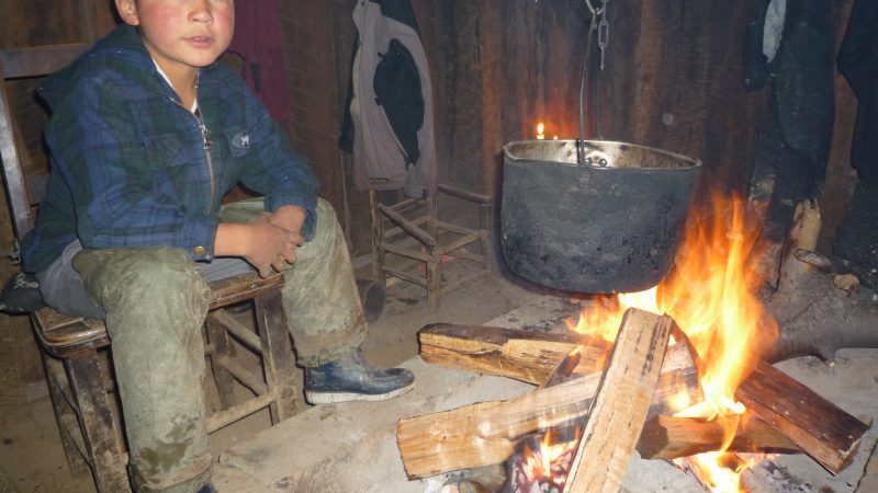 CNTV anuncia cartelera de estrenos de noviembre 2022