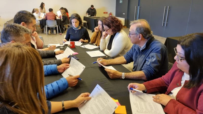 Observatorio Laboral de Magallanes | A través de actores clave se levanta información cualitativa regional sobre demanda laboral en comercio y turismo