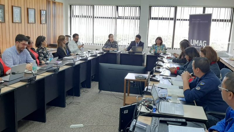Constituyen Mesa técnica del Sector Público en la región de Magallanes￼