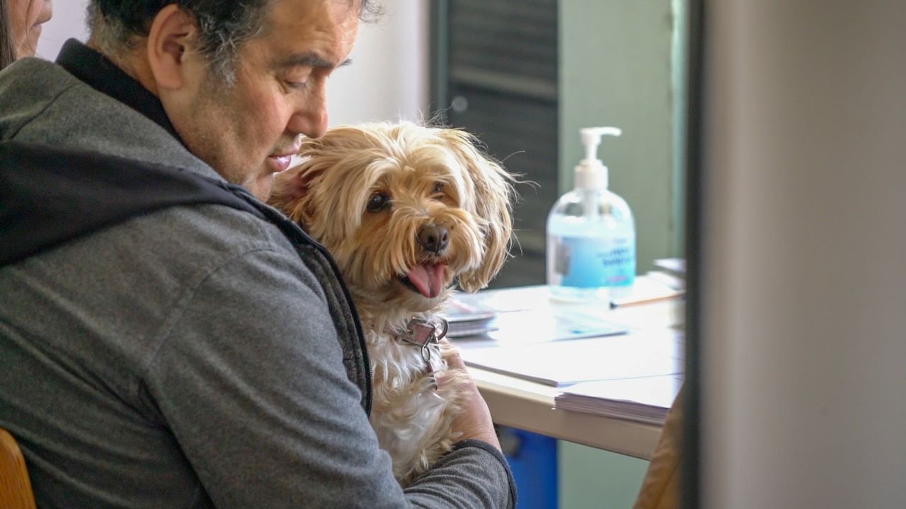 Más de 3.000 atenciones veterinarias ha realizado la Municipalidad de Punta Arenas en 2022