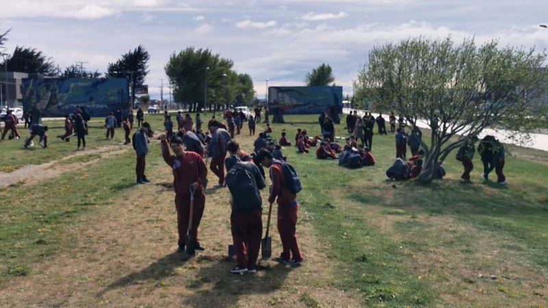 Estudiantes del Instituto Don Bosco plantaron 70 árboles con el apoyo de la Municipalidad de Punta Arenas