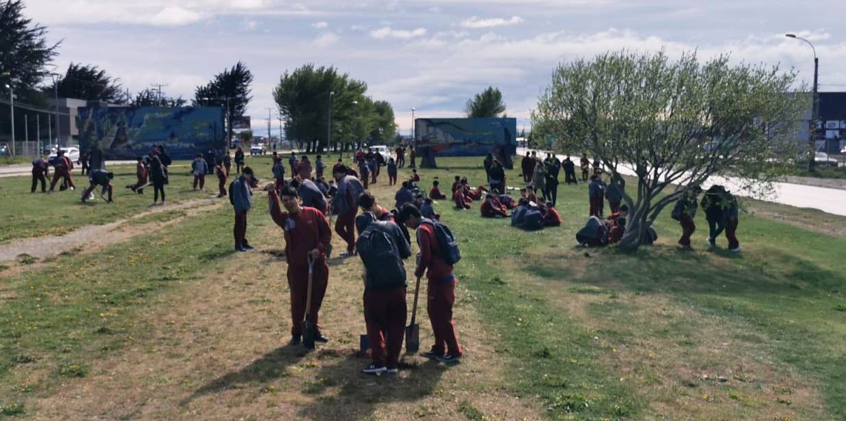 Estudiantes del Instituto Don Bosco plantaron 70 árboles con el apoyo de la Municipalidad de Punta Arenas