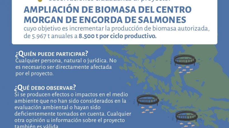 Ampliación de proyecto de engorda de salmones en Ultima Esperanza se encuentra en etapa de consulta ciudadana