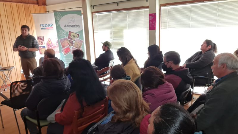 “La capacitación permanente es una inversión para los agricultores y la comunidad que recibe mejores productos”  |  Más de 24 horas de capacitación teórica presencial han adquirido agricultores de Punta Arenas durante 2022