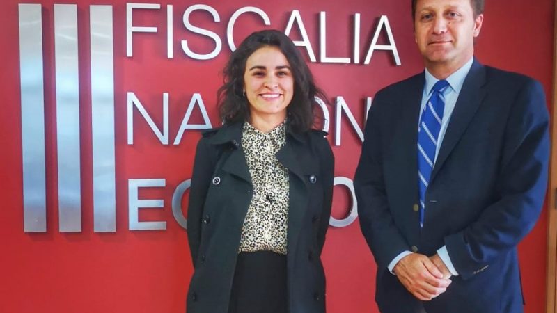 Fiscalía Nacional Económica acoge denuncia de Diputada Javiera Morales contra línea aérea LATAM por alza de precios de pasajes aéreos en Magallanes