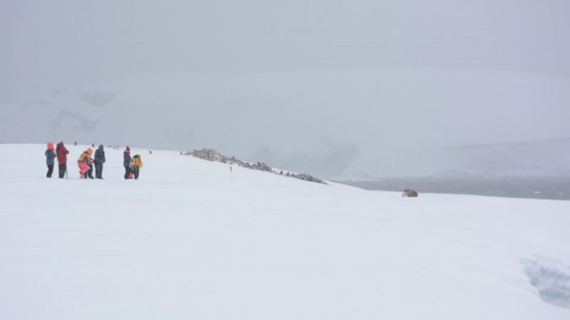 Fundación Antártica21 reafirma compromiso con acercar el continente blanco a la comunidad