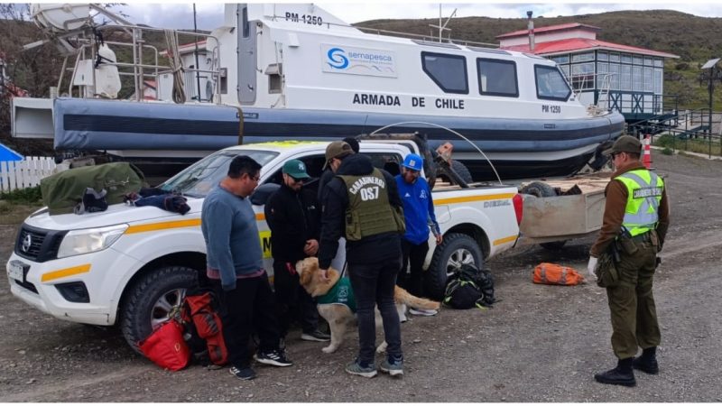 Un detenido por tráfico de marihuana en Río Verde | Pretendía ingresar sustancia por medio de barcaza  hasta la Isla Riesco