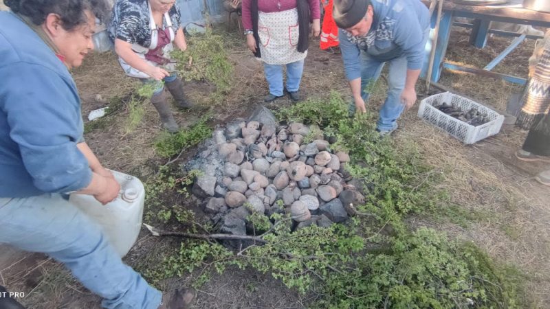 Curanto al hoyo, reitimiento, chochoca y empanadas de cochayuyo, son algunos de los platos considerados en proyecto financiado por CONADI