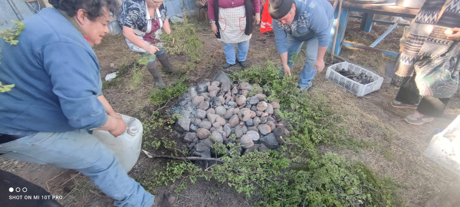 Curanto al hoyo, reitimiento, chochoca y empanadas de cochayuyo, son algunos de los platos considerados en proyecto financiado por CONADI