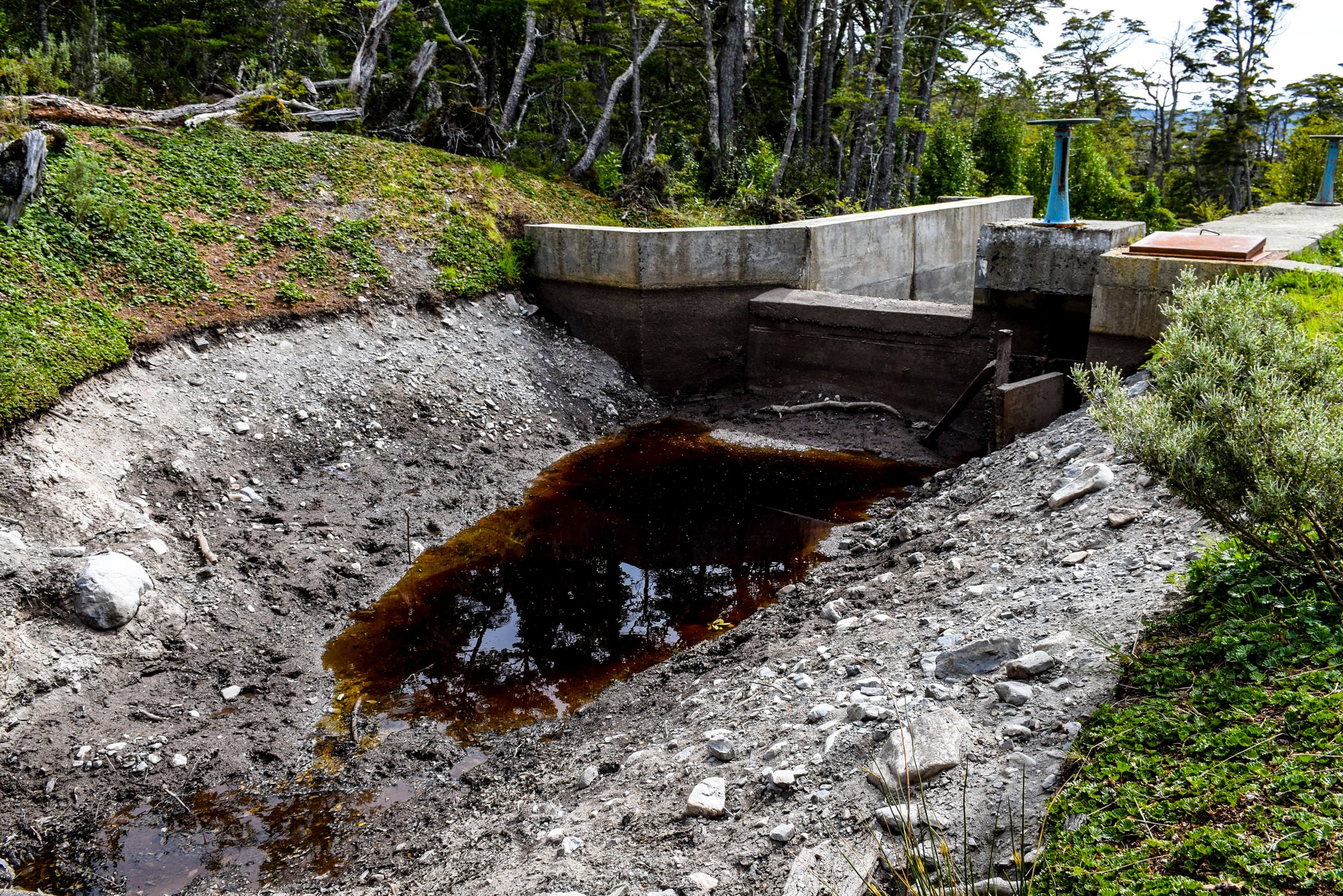 Delegada Presidencial de Provincia Antártica María Luisa Muñoz solicita declaración de Zona de Escasez Hídrica en Puerto Toro 