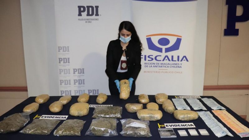 PDI concreta la mayor incautación de Cannabis Sativa en Magallanes en lo que va del año 2022