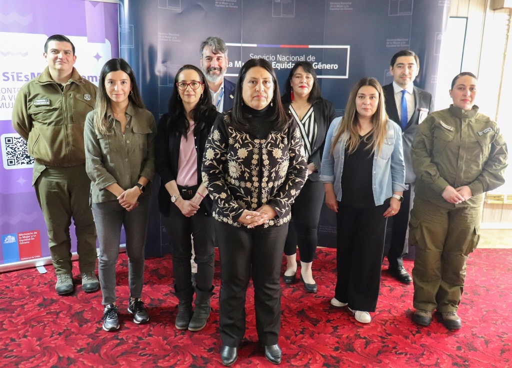 Circuito Intersectorial de Femicidios de Magallanes: