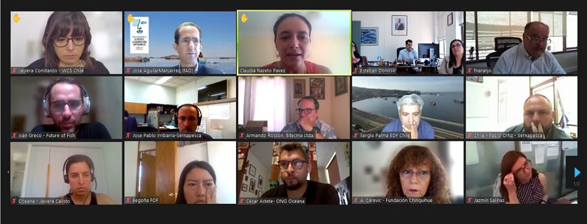 Sernapesca realiza primer encuentro con ONG’s por la Sostenibilidad Pesquera