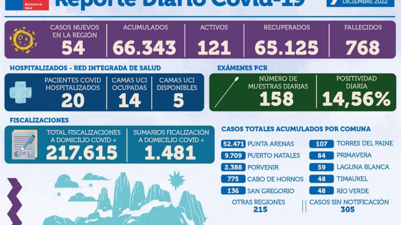 54 casos nuevos de covid19 se registran hoy jueves 29 de diciembre en Magallanes