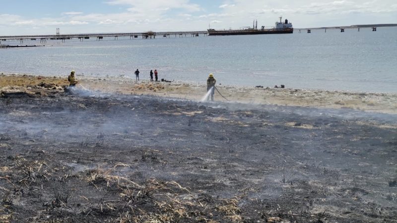 CONAF y Bomberos logran controlar  incendio forestal en sector de Cabo Negro