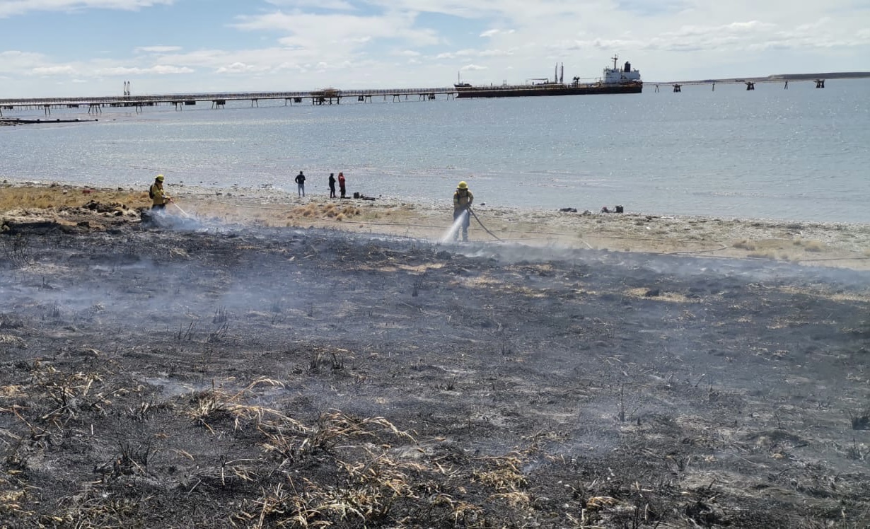 CONAF y Bomberos logran controlar  incendio forestal en sector de Cabo Negro