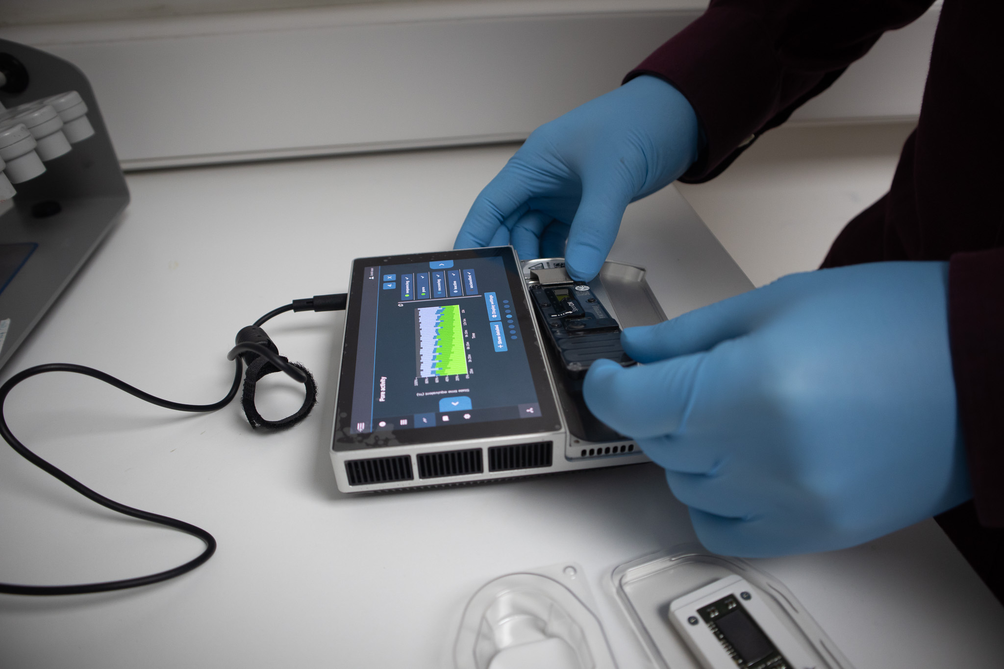 Estudian con nanotecnología las bacterias de especies antárticas y los efectos del cambio climático