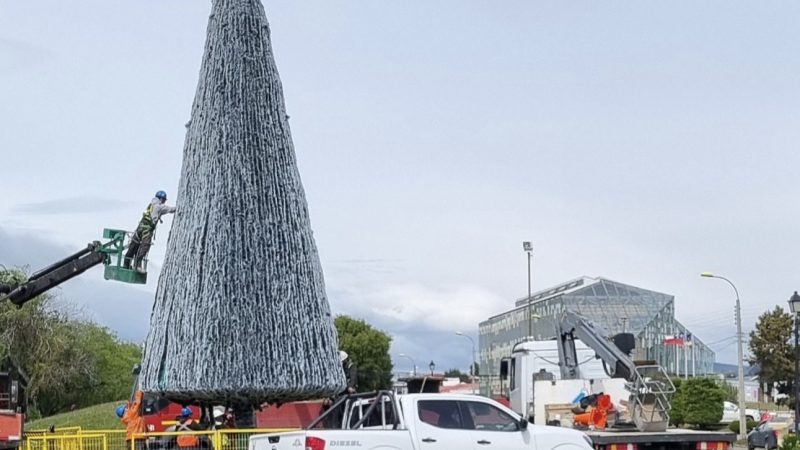 El miércoles 7 de diciembre se enciende el árbol de navidad de Punta Arenas