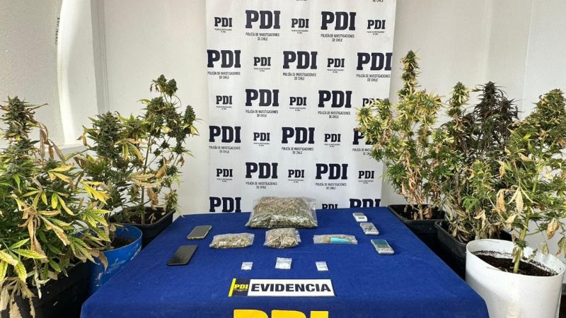 PDI Puerto Natales detuvo a dos hombres por el delito flagrante de infracción al Artículo 4° de la Ley 20.000