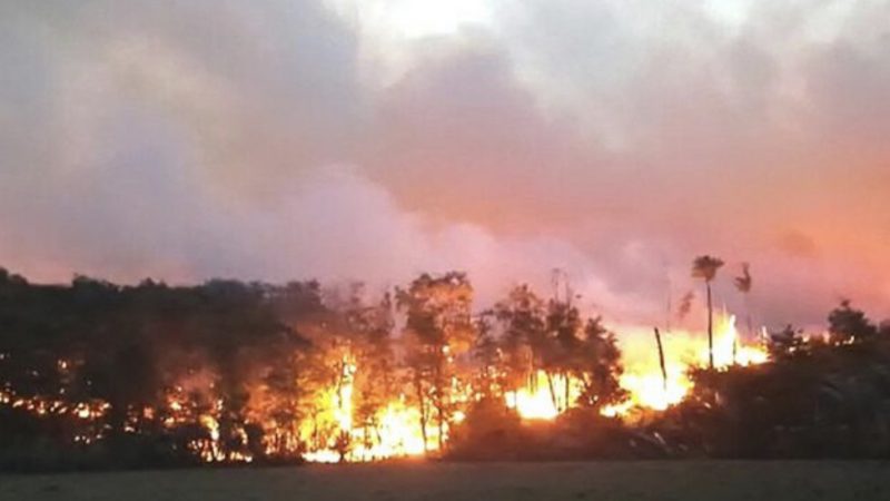Brigadistas de toda Argentina llegan a Tierra del Fuego para combatir incendio forestal en la zona de Tolhuin