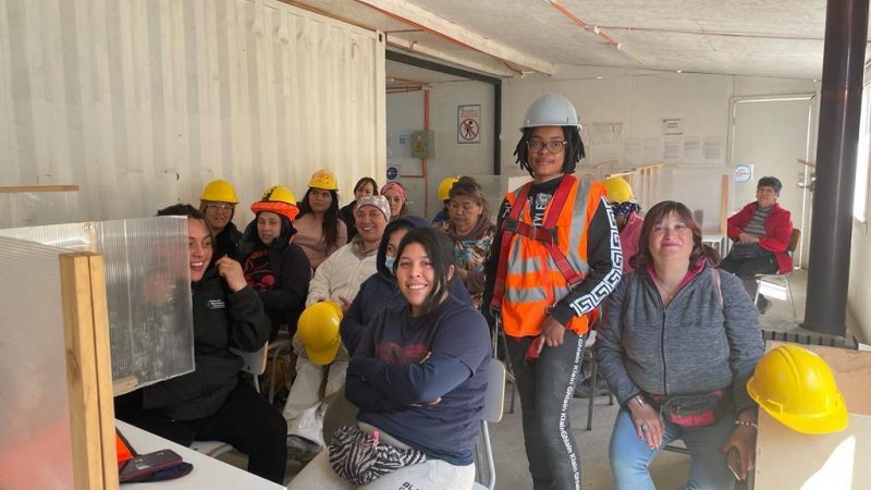 Diecinueve mujeres se capacitaron en oficios de la construcción en Magallanes