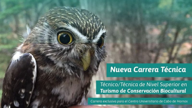Universidad de Magallanes estrenará la carrera técnica más austral de Chile: Turismo de Conservación Biocultural