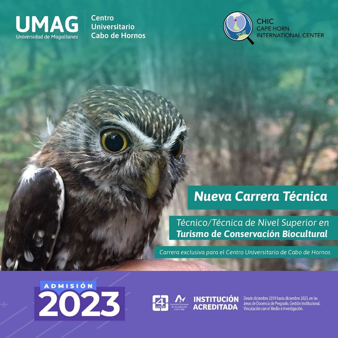 Universidad de Magallanes estrenará la carrera técnica más austral de Chile: Turismo de Conservación Biocultural