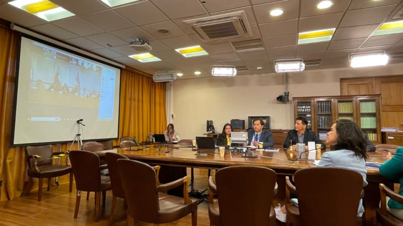 Consejeros regionales expusieron ante la comisión de Zonas Extremas de la Cámara los problemas de conectividad de Magallanes