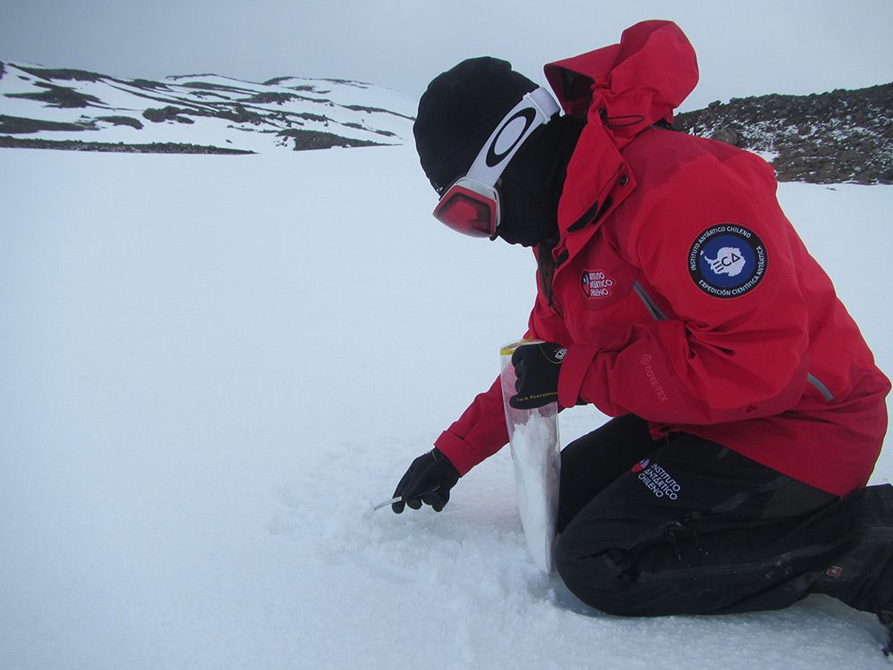 Inédito estudio del Centro IDEAL analizará conectividad entre ecosistemas de hielo, nieve y agua en Antártica