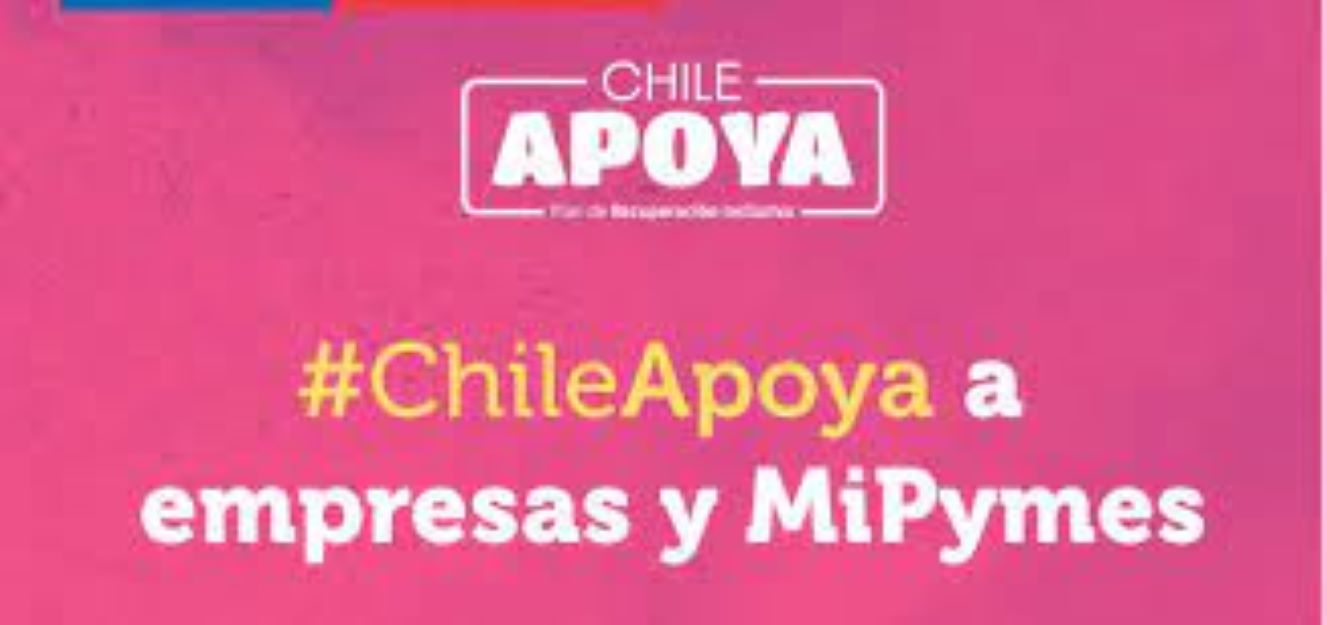 Comenzó el despliegue del programa FOGAPE Chile Apoya