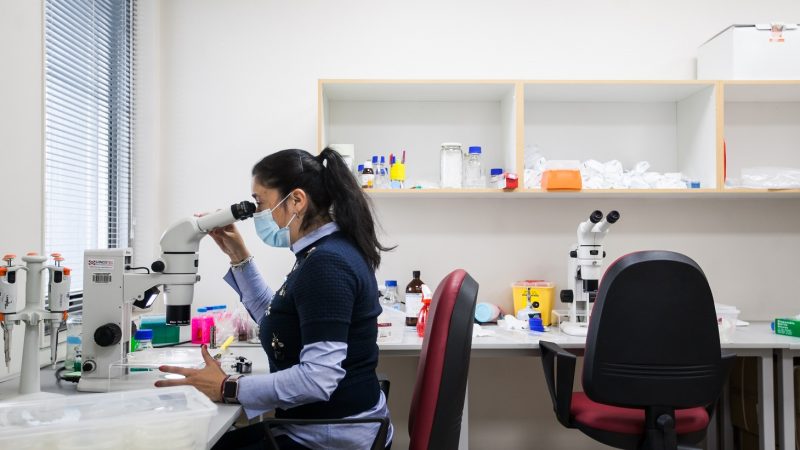 UMAG avanza 11 lugares en el Ranking de I+D+i a nivel nacional y es la que más sube