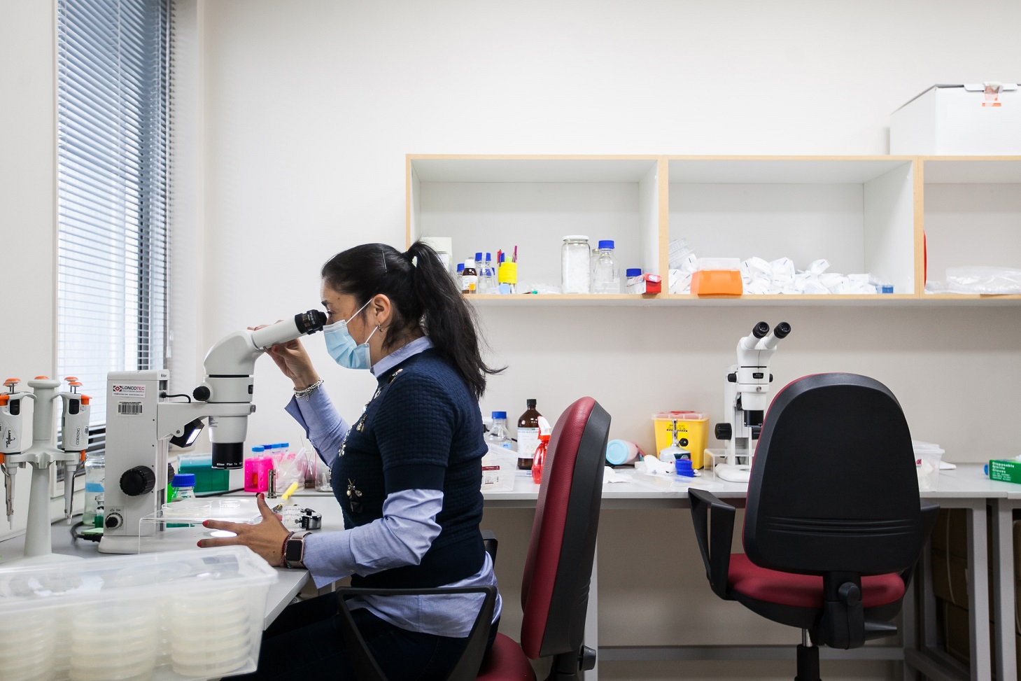 UMAG avanza 11 lugares en el Ranking de I+D+i a nivel nacional y es la que más sube