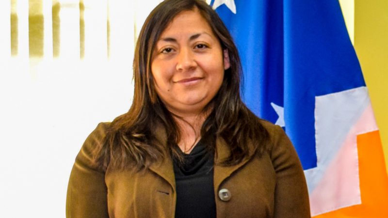 Desde que Delegada Muñoz inició su gestión: Las siete materias relevantes de la Delegación Presidencial Provincial de la Antártica Chilena durante 2022