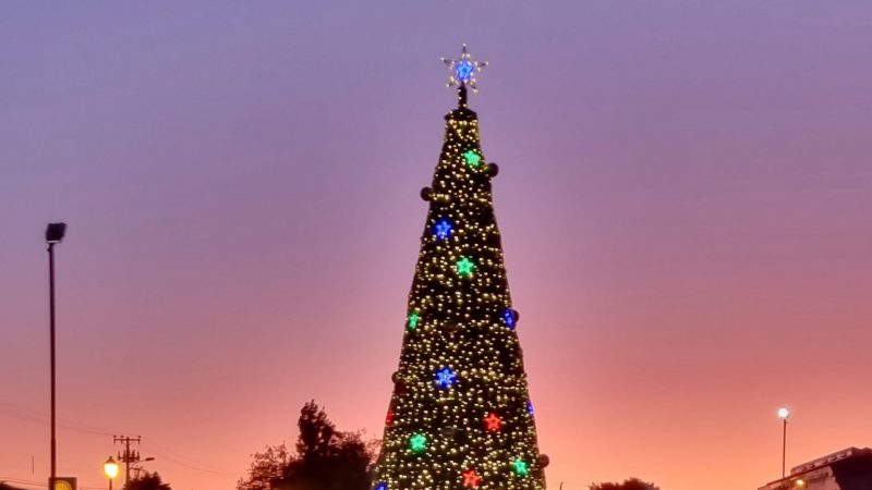 EDELMAG encendió árboles de Navidad en Cerro Castillo, Puerto Natales, Puerto Williams, Porvenir y Punta Arenas