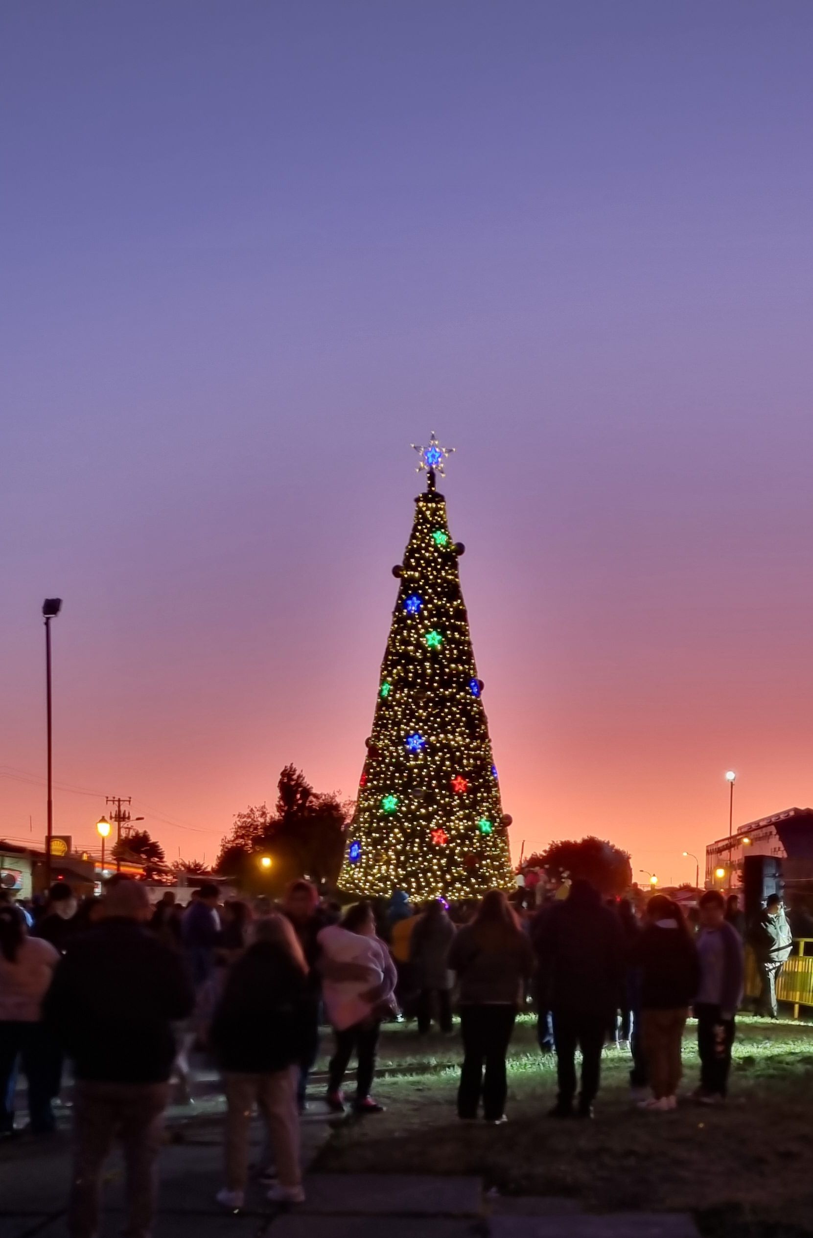 EDELMAG encendió árboles de Navidad en Cerro Castillo, Puerto Natales, Puerto Williams, Porvenir y Punta Arenas