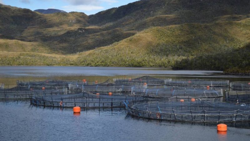 Fundación TERRAM | Balance ambiental de Chile en 2022