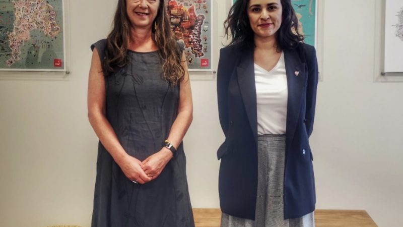 Diputada Morales se reunió con la subsecretaria de Turismo para abordar el alza de los pasajes aéreos