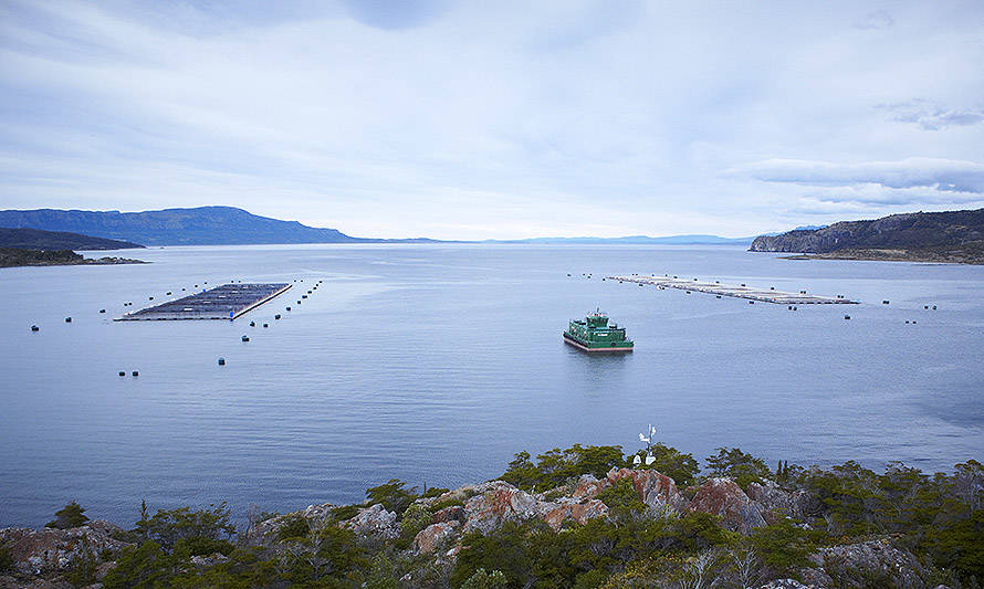 Empresarios salmonicultores de Magallanes destacan que son la industria más fiscalizada de Chile y poseen un alto grado de cumplimiento